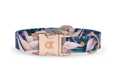 Halsband Basic Kollektion Tropical
