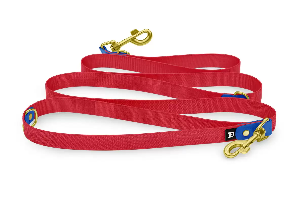 Reduzierte Hundeleine: Blau und Rot mit Gold-Komponenten