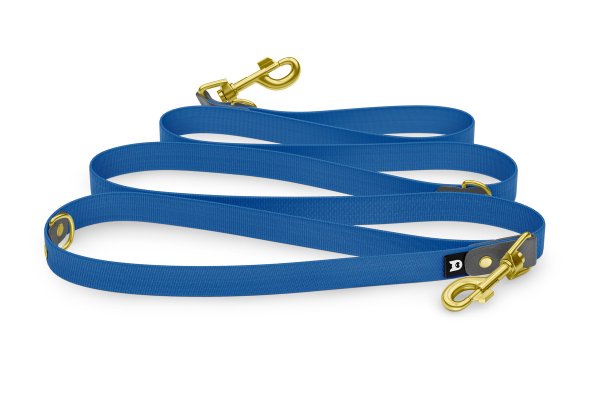 Reduzierte Hundeleine: Grau und Blau mit Gold-Komponenten