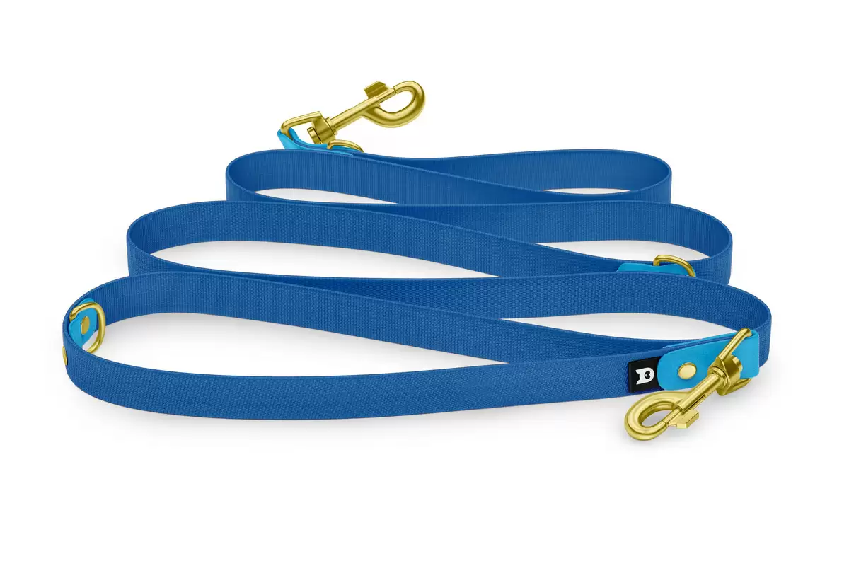 Reduzierte Hundeleine: Hellblau und Blau mit Gold-Komponenten