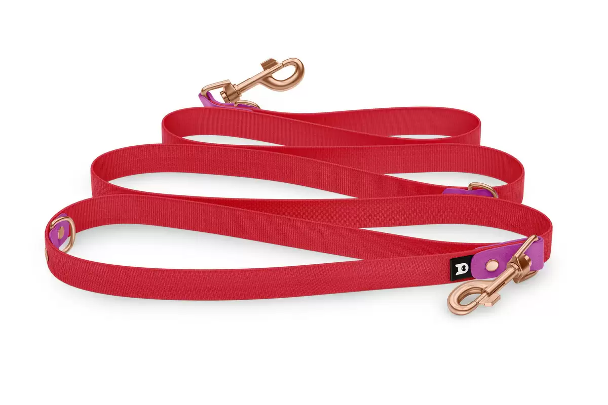 Reduzierte Hundeleine: Hellviolett und Rot mit Rosegold-Komponenten