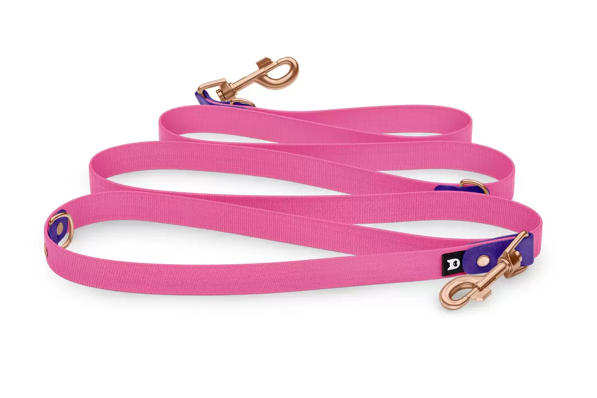 Reduzierte Hundeleine: Violett und mit Rosegold-Komponenten