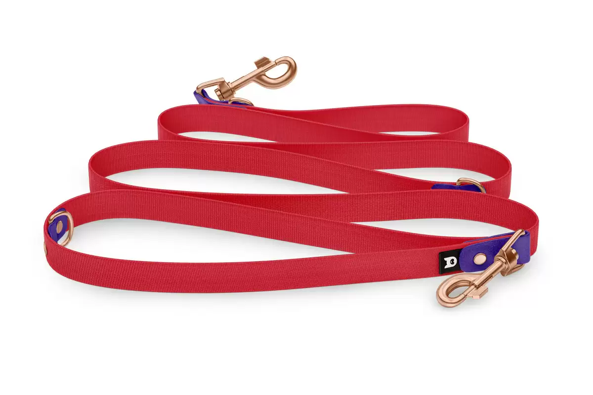 Reduzierte Hundeleine: Violett und Rot mit Rosegold-Komponenten