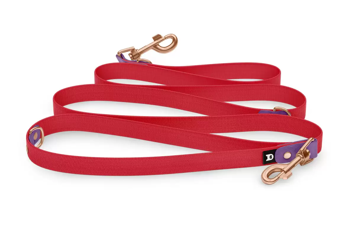 Reduzierte Hundeleine: Purpur und Rot mit Rosegold-Komponenten