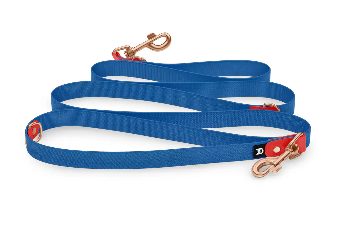 Reduzierte Hundeleine: Rot und Blau mit Rosegold-Komponenten