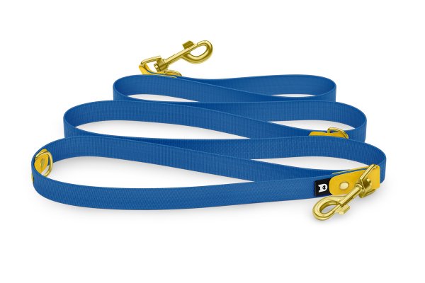 Reduzierte Hundeleine: Gelb und Blau mit Gold-Komponenten