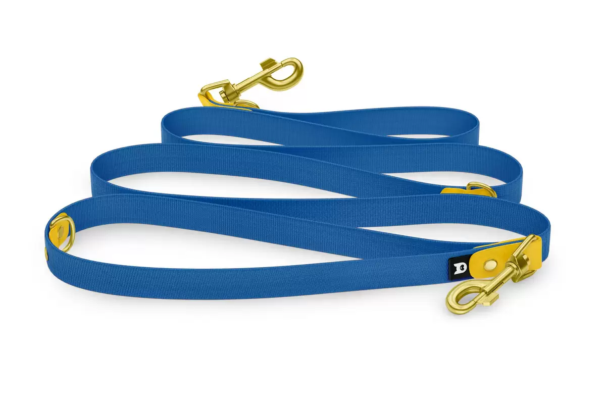 Reduzierte Hundeleine: Gelb und Blau mit Gold-Komponenten
