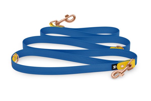 Reduzierte Hundeleine: Gelb und Blau mit Rosegold-Komponenten