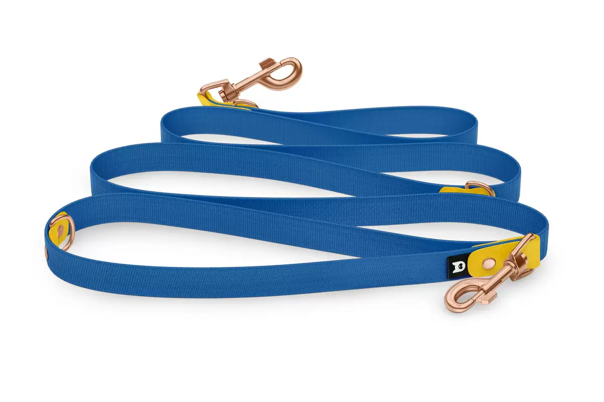 Reduzierte Hundeleine: Gelb und Blau mit Rosegold-Komponenten